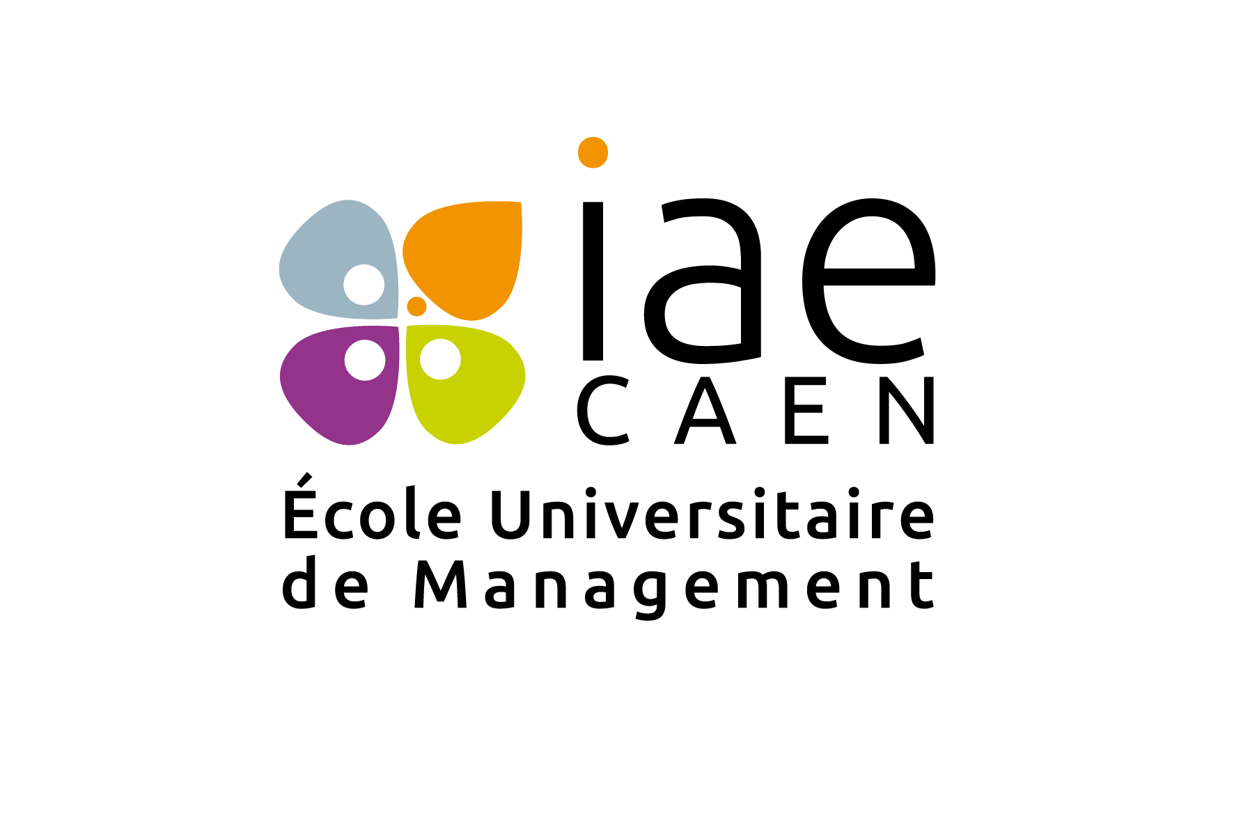 Logo IAE Caen