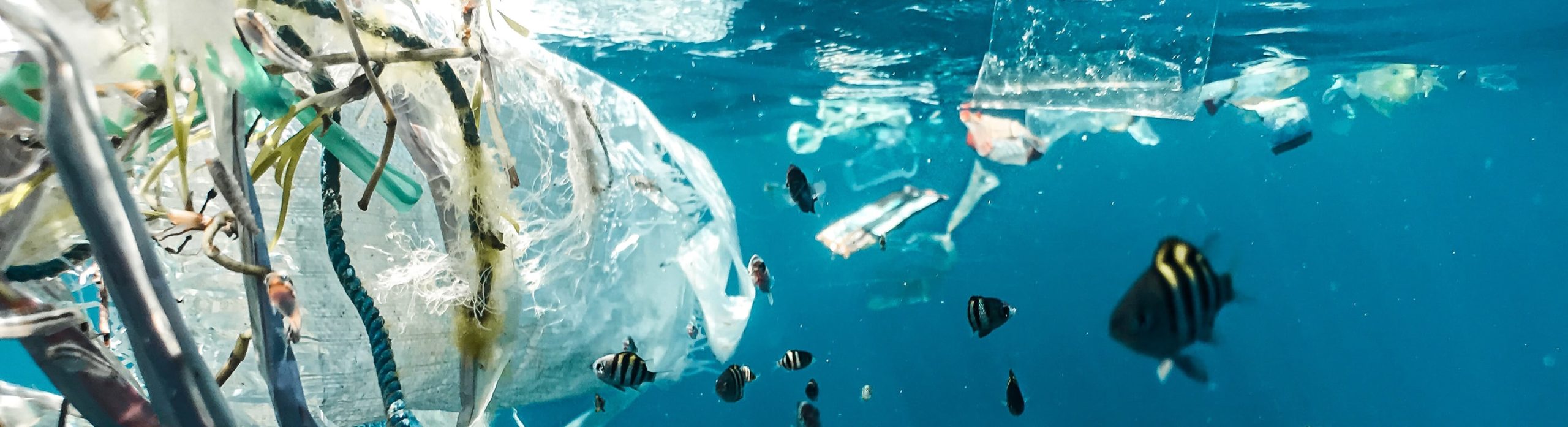 Détritus de plastiques sous l’eau