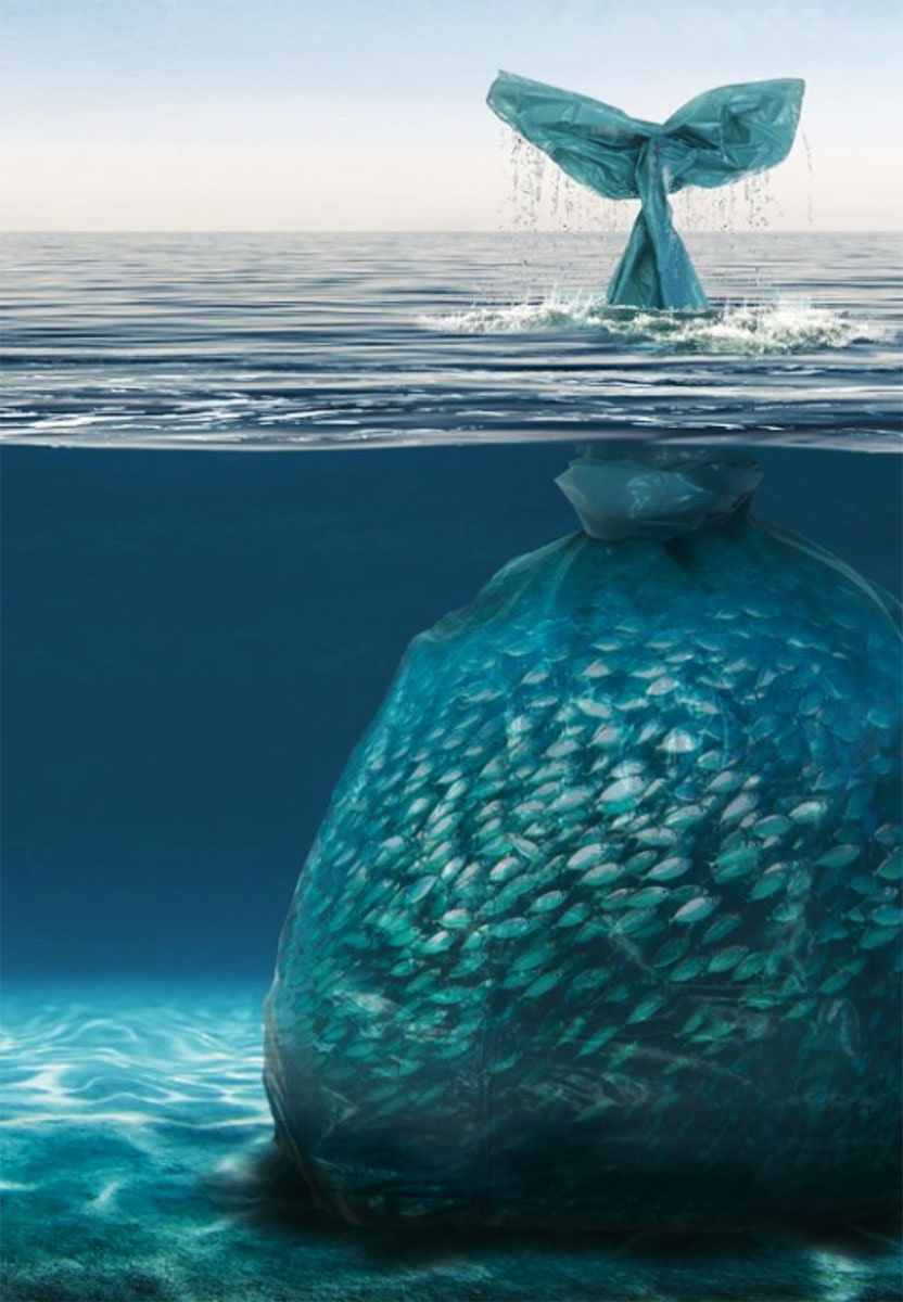Un sac plastique géant dans l’océan renfermants des poissons
