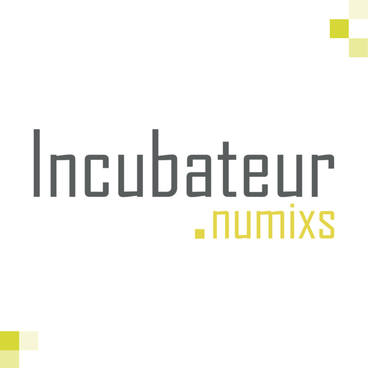 Logo de l'incubateur de la Station Numixs