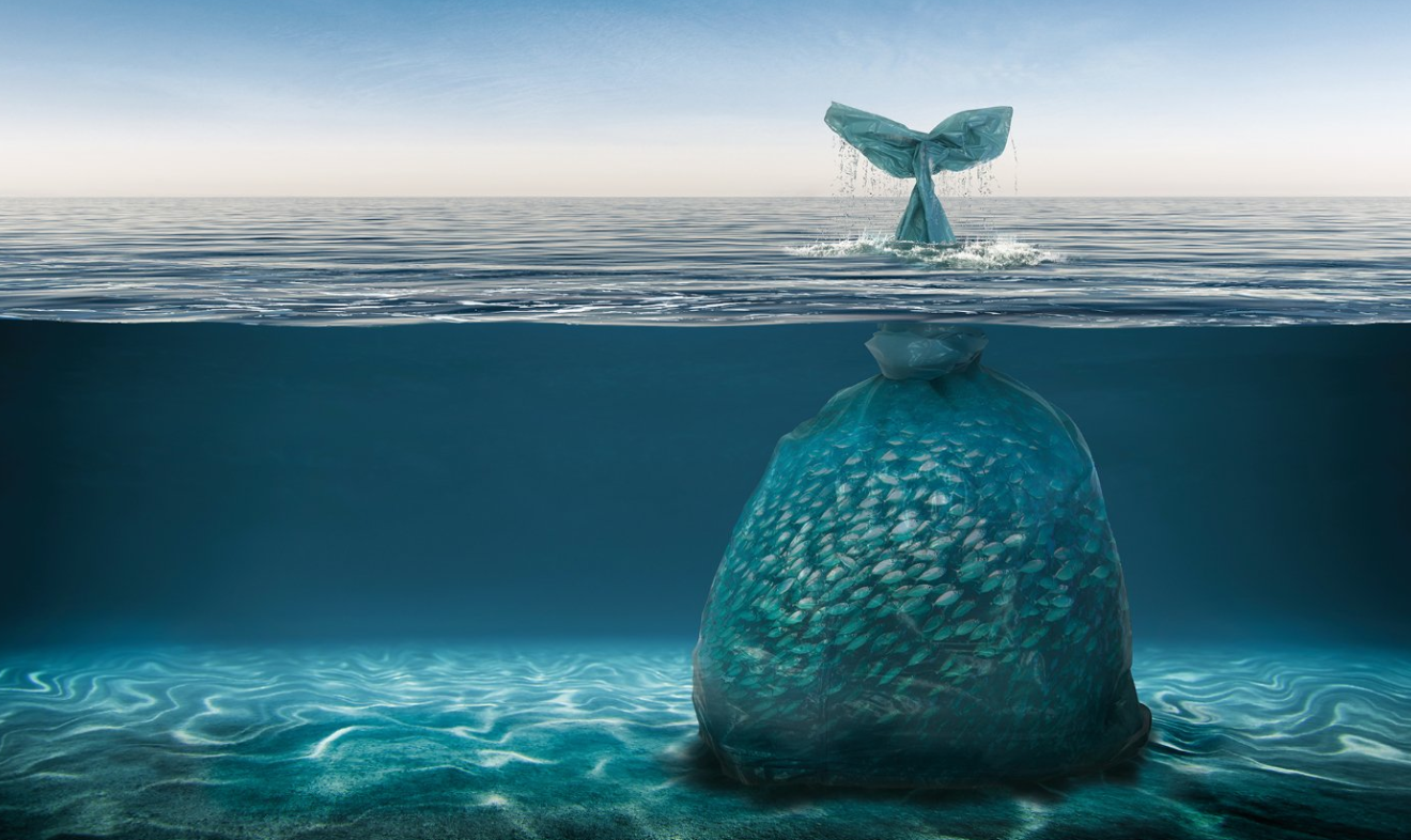 Photo d'une baleine faite de plastique
